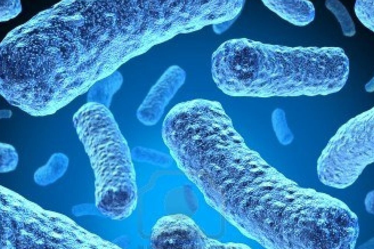 https://drdeepmodh.com/wp-content/uploads/2022/06/Multidrug-Resistant-TB-MDR-TB-1.jpg